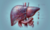 Advanced Liver Blood Test: Insights from Tewkesbury