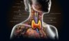 Thyroid Blood Test in Aylesbury: Fast and Trustworthy Results