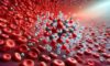 Ferritin Blood Test Guide: Understanding Iron Levels in Southampton