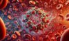 Ferritin Blood Test: Key Insights for Torquay Residents